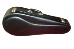Kufr na mandolinu